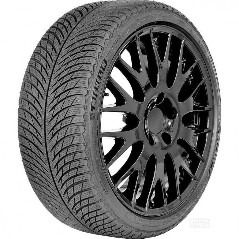 

Шина автомобильная Michelin Pilot Alpin 5 255/40 R19, зимняя, нешипованная, 100V