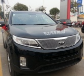 

Решетка радиатора (соты) Kia Sorento (2010 - 2019, Sorento